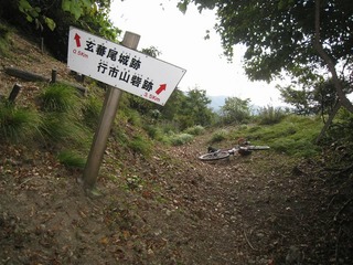 IMG_3432.jpg