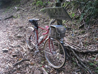 IMG_3441.jpg