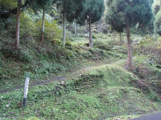 IMG_3450.jpg