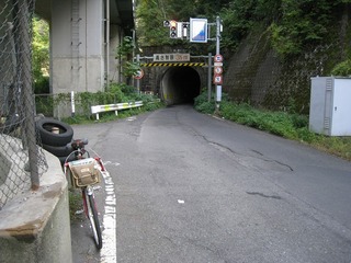 IMG_3455.jpg