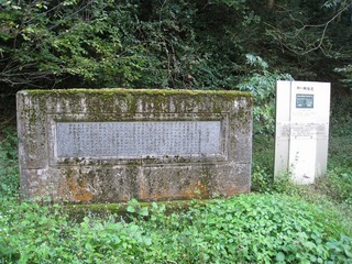 IMG_3458.jpg