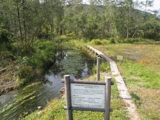 IMG_3477.jpg