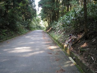 IMG_3488.jpg