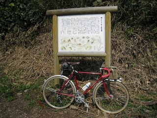 IMG_3496.jpg