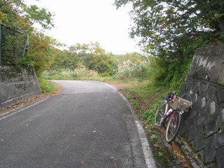 IMG_3536.jpg