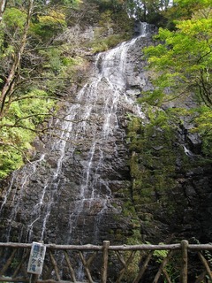 IMG_3545.jpg