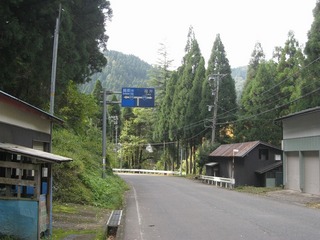 IMG_3558.jpg