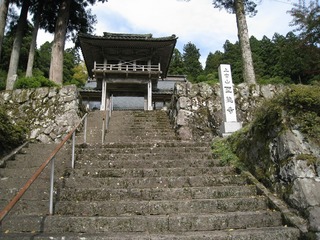 IMG_3562.jpg