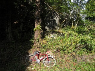 IMG_3578.jpg