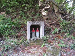 IMG_3582.jpg