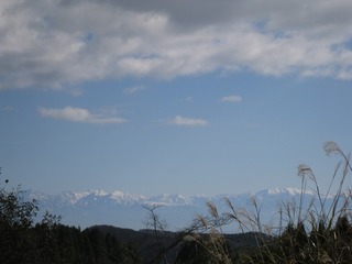 IMG_3798.jpg