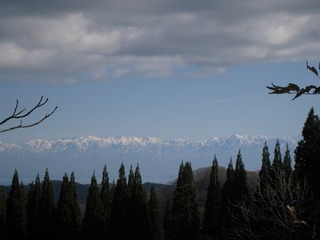 IMG_3802.jpg