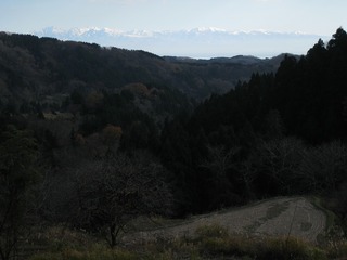 IMG_3811.jpg