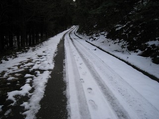 IMG_3912.jpg