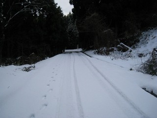 IMG_3917.jpg