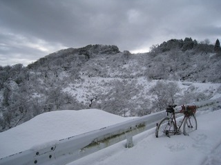 IMG_3922.jpg