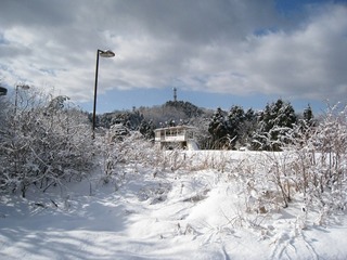 IMG_3924.jpg