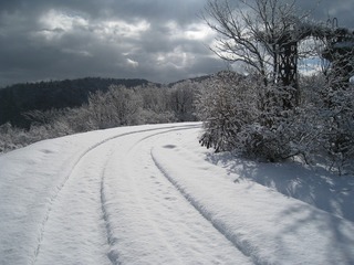 IMG_3927.jpg