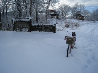 IMG_3934.jpg