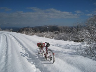 IMG_3937.jpg